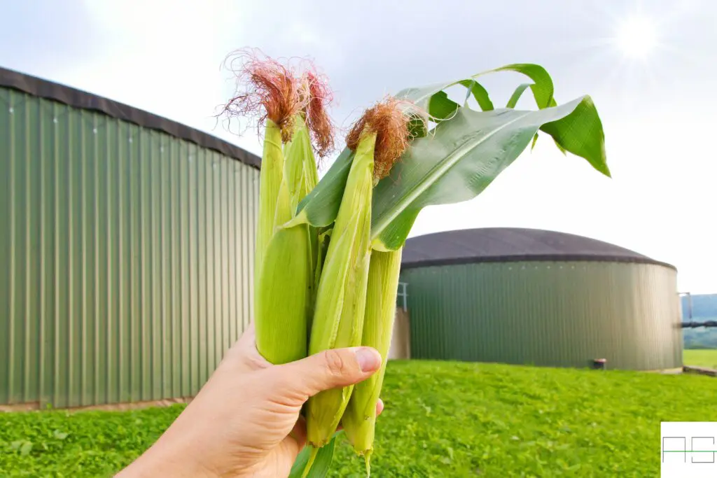 Biogasanlagen 1 Biogasanlagen